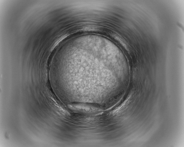 X0000096440829200802071746