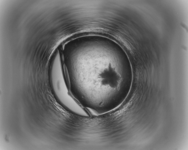 X0000096440830200802071746