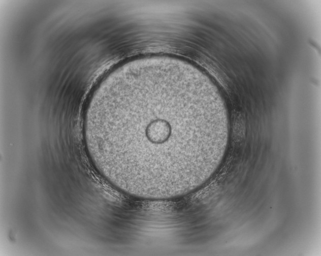 X0000096440832200802071746