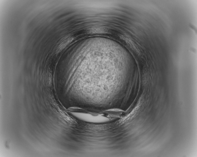 X0000096440833200802071746