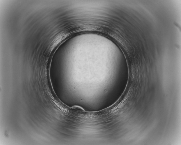 X0000096440834200802071746