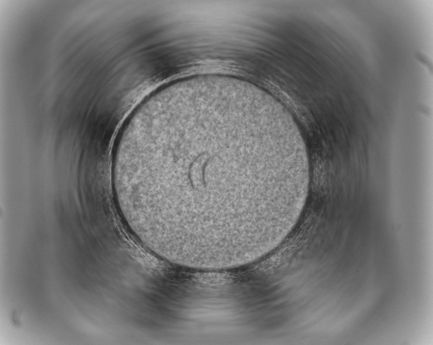 X0000096440836200802071746