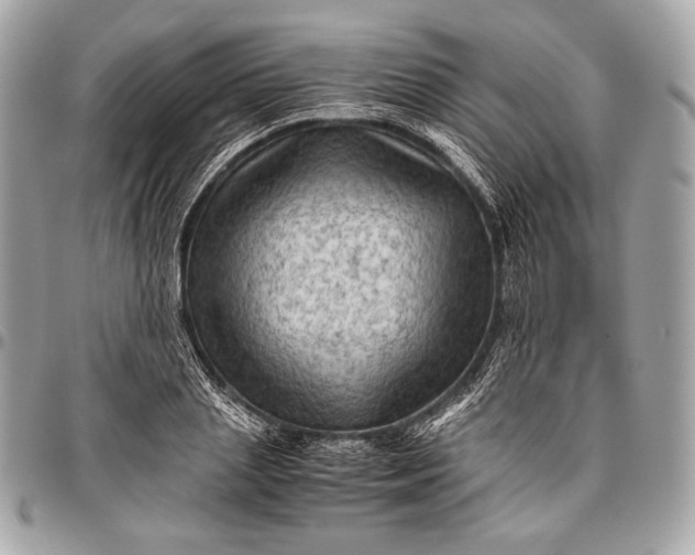 X0000096440837200802071746