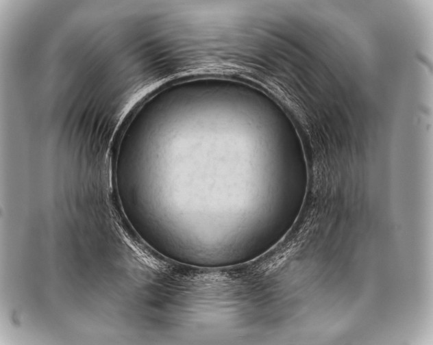 X0000096440838200802071746