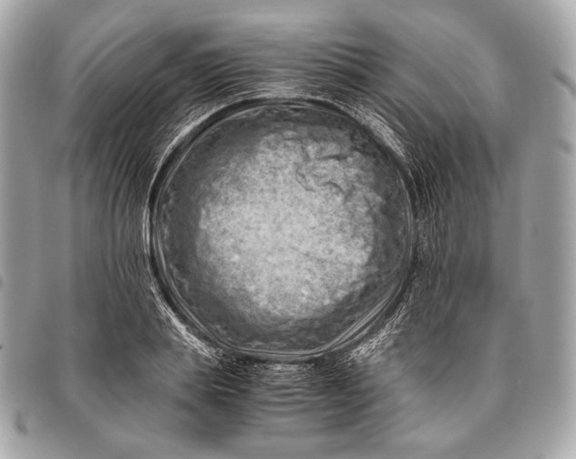 X0000096440839200802071746