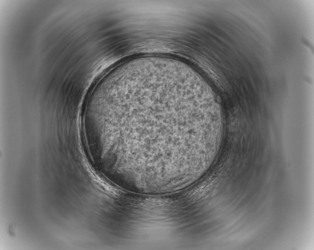 X0000096440840200802071746