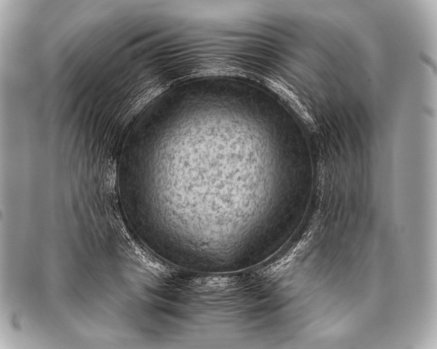 X0000096440841200802071746