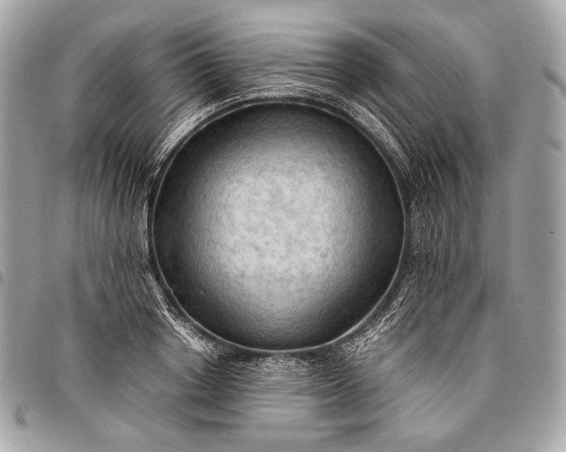 X0000096440842200802071746