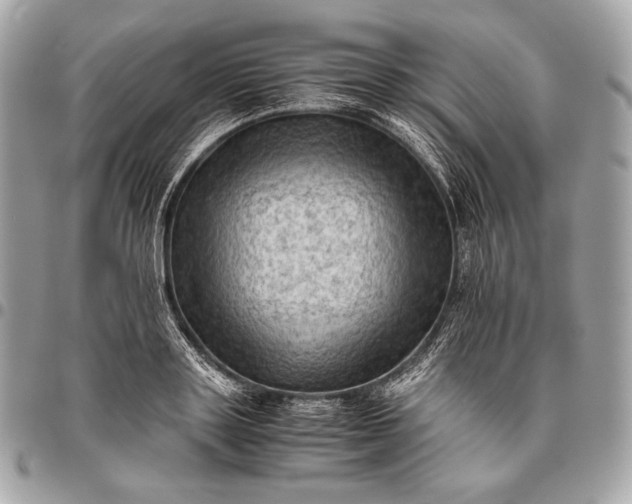 X0000096440843200802071746