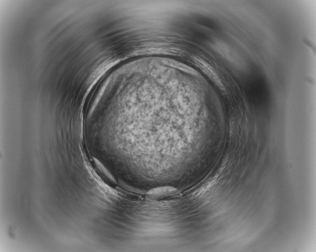 X0000096440844200802071746