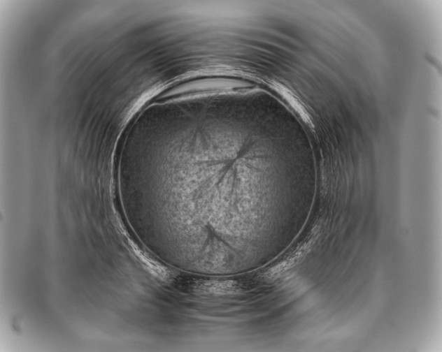 X0000096440845200802071746