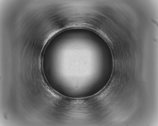 X0000096440846200802071746