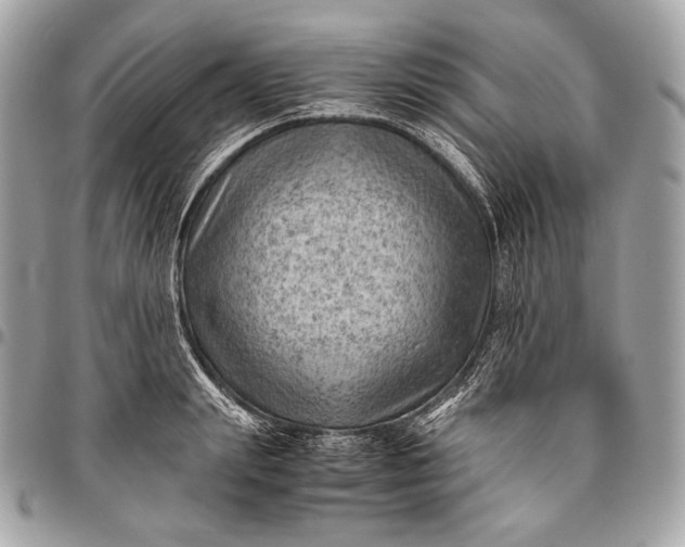 X0000096440847200802071746