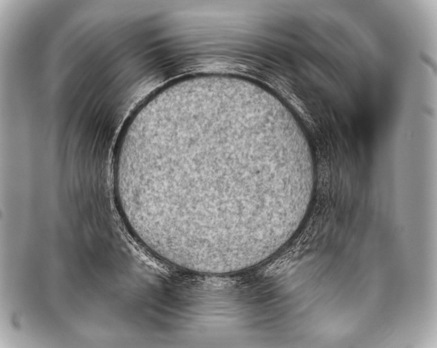 X0000096440848200802071746