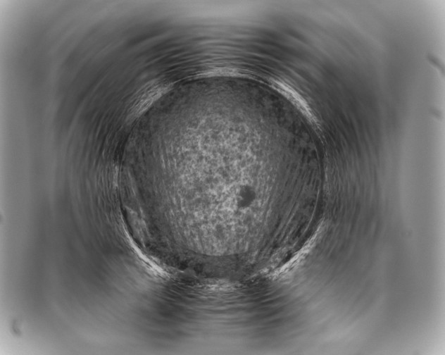 X0000096440849200802071746