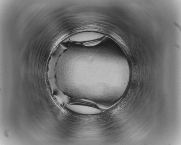 X0000096440850200802071746