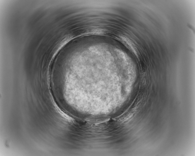 X0000096440851200802071746