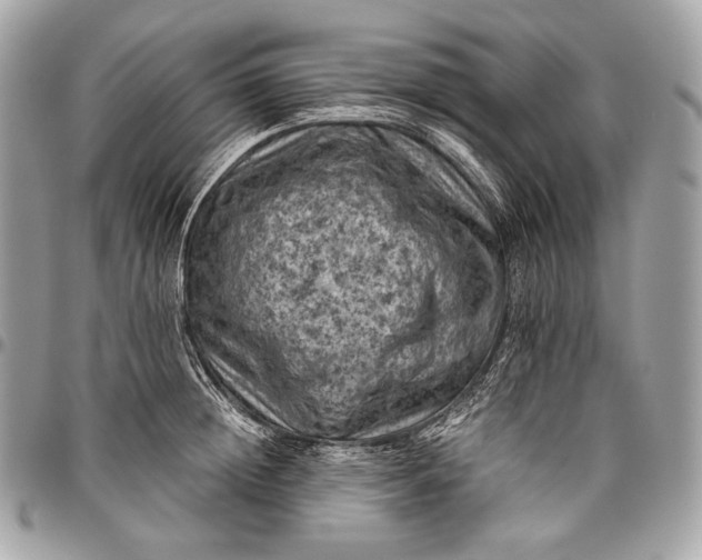 X0000096440852200802071746