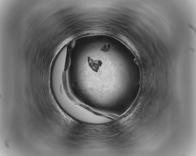 X0000096440853200802071746