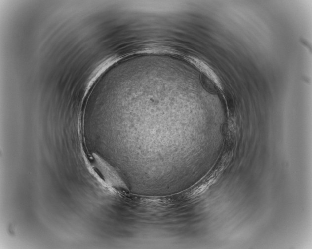 X0000096440855200802071746