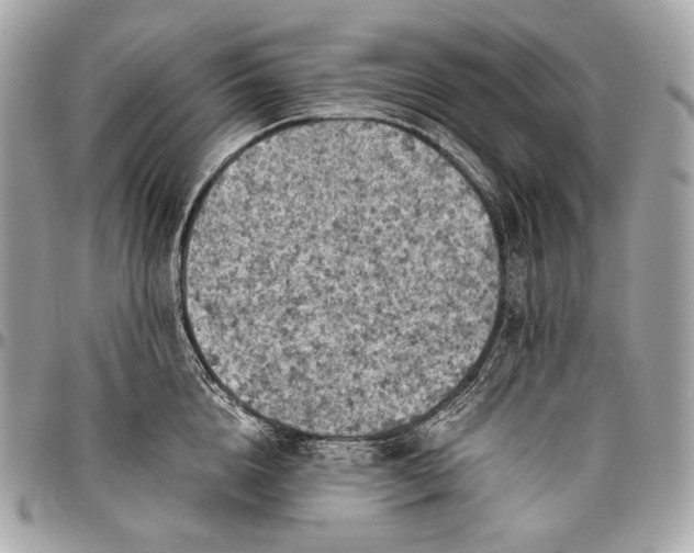 X0000096440856200802071746