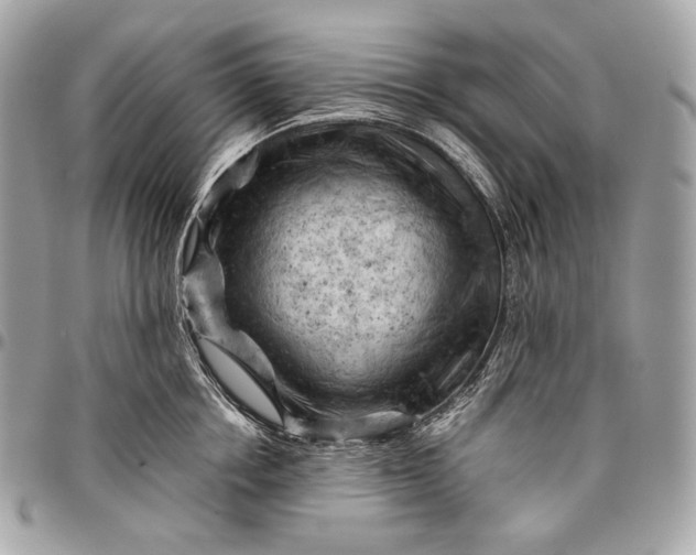 X0000096440858200802071746