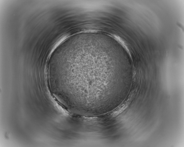 X0000096440859200802071746