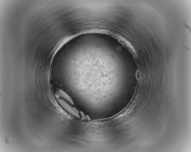 X0000096440860200802071746