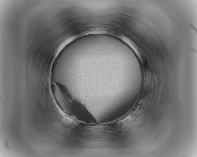 X0000096440861200802071746