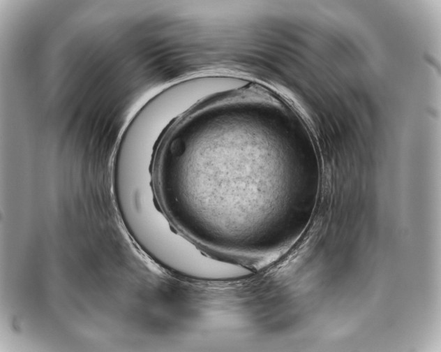 X0000096440862200802071746