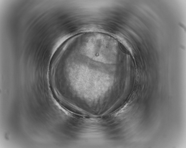 X0000096440863200802071746