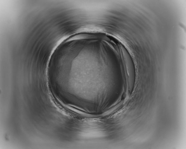 X0000096440864200802071746