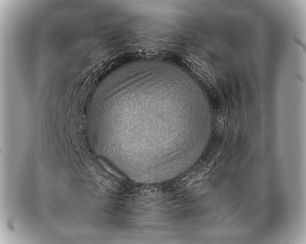 X0000096440865200802071746