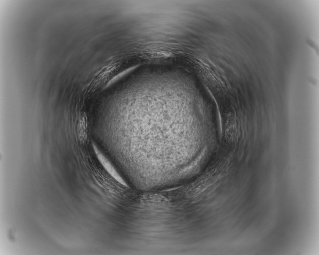 X0000096440866200802071746