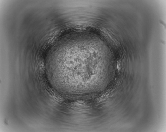 X0000096440867200802071746