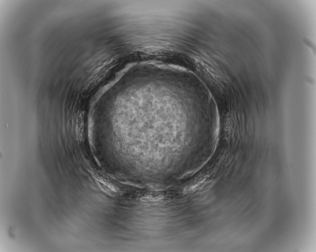 X0000096440868200802071746