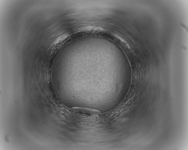 X0000096440869200802071746