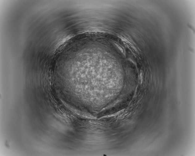 X0000096440870200802071746