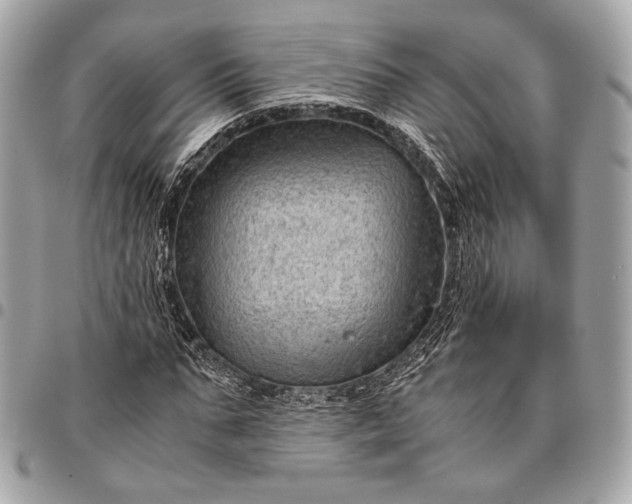 X0000096440871200802071746