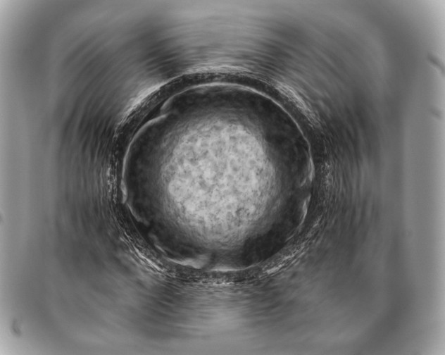 X0000096440872200802071746