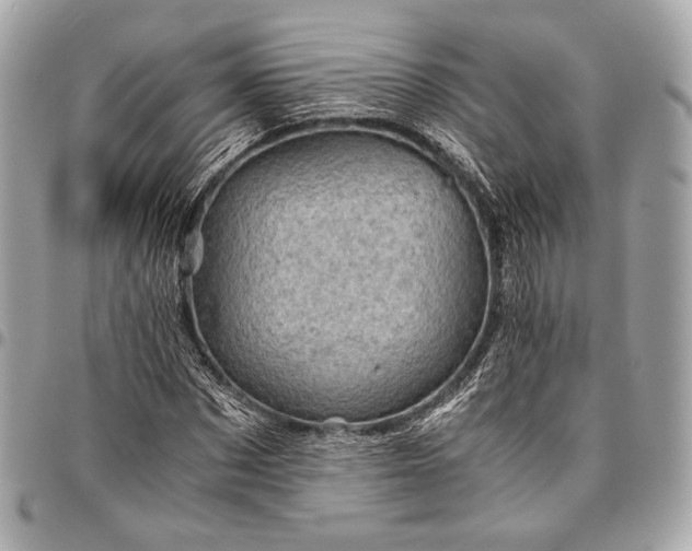 X0000096440873200802071746