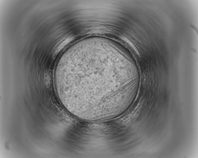 X0000096440874200802071746