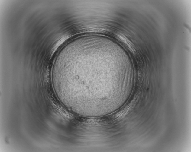 X0000096440875200802071746