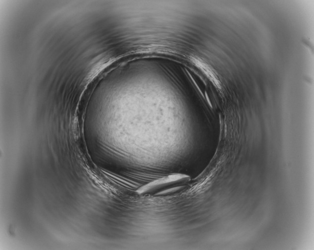 X0000096440876200802071746