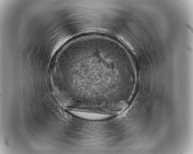 X0000096440877200802071746