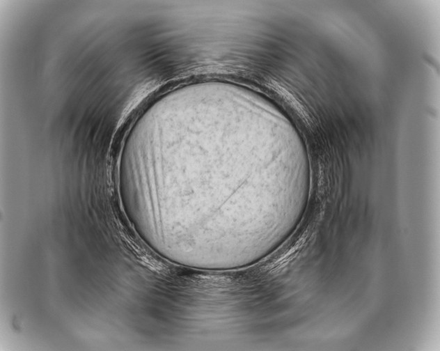 X0000096440878200802071746