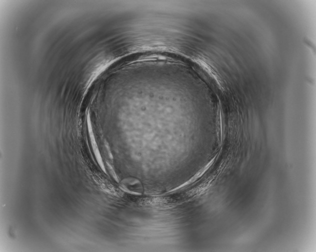 X0000096440879200802071746