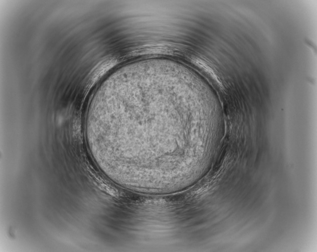 X0000096440882200802071746