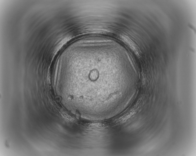 X0000096440883200802071746