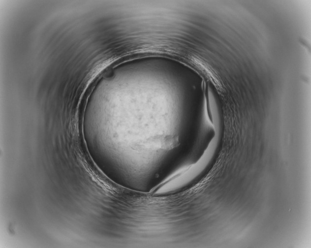 X0000096440884200802071746